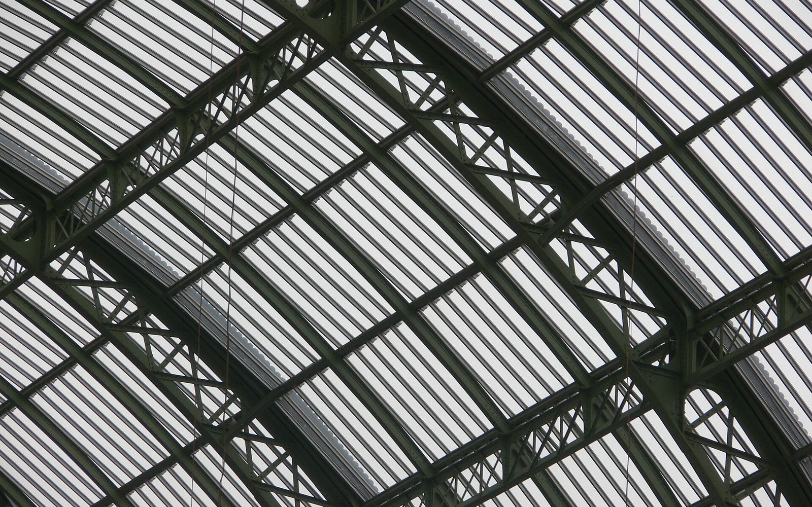 Iron trusses and glazing bars of the Grand Palais roof, seen from directly below.
