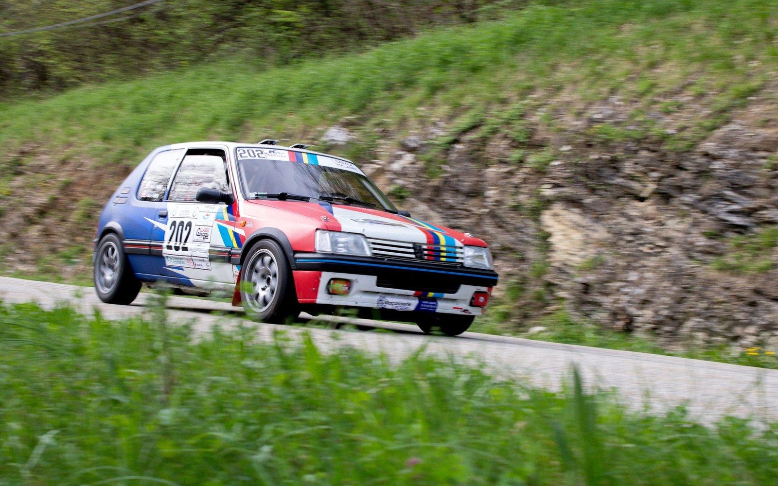 Rally-liveried Peugeot 205 with number 202 speeds along a country road