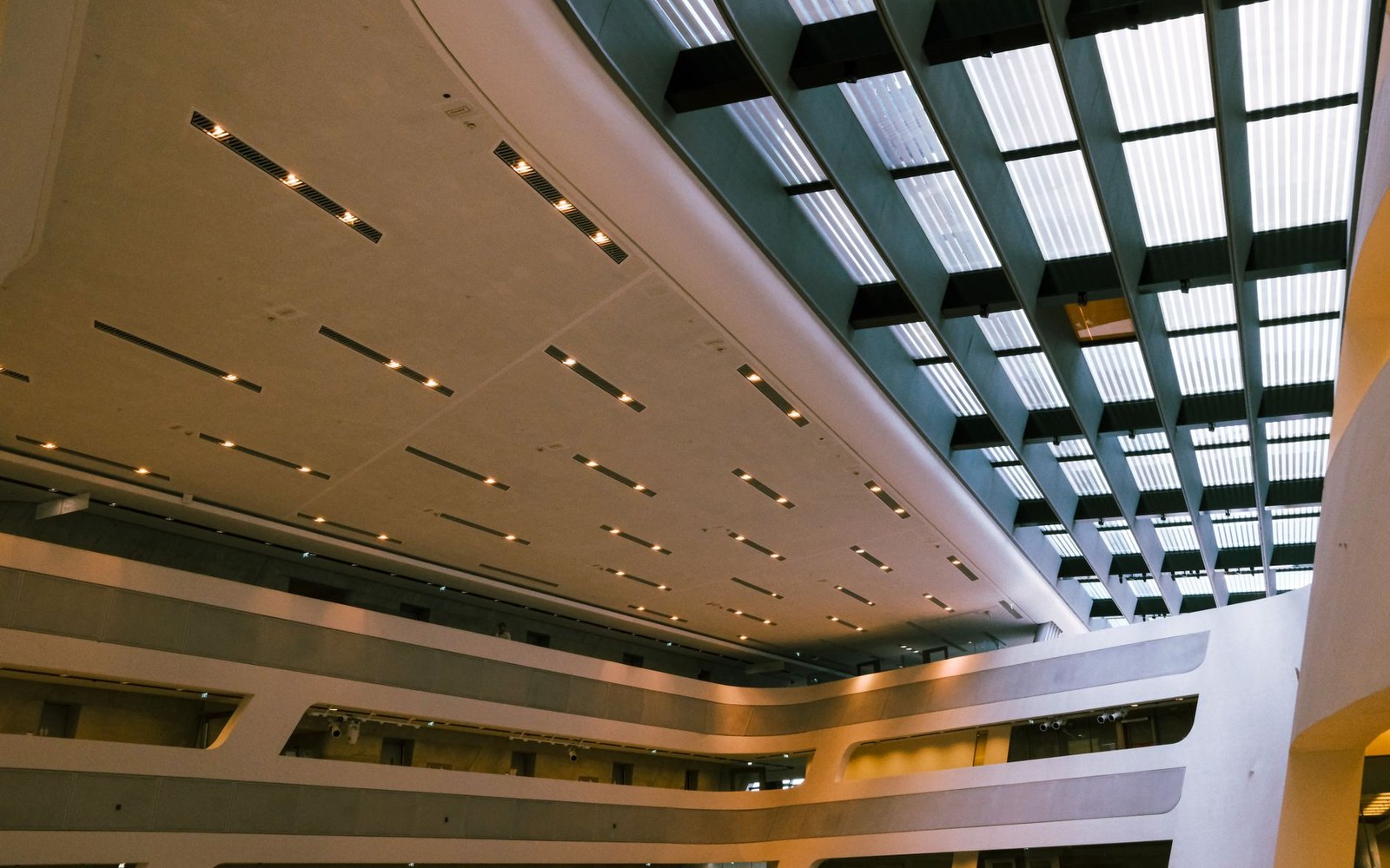 Curved atrium ceiling with recessed lighting strips beneath a gridded glass skylight